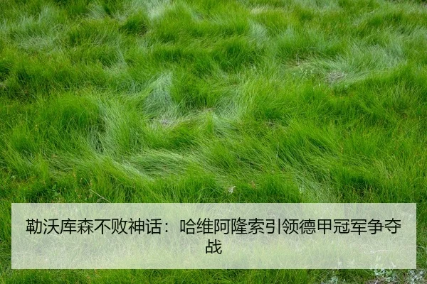 lei-wo-ku-sen-bu-bai-shen-hua-ha-wei-a-long-suo-yin-ling-de-jia-guan-jun-zheng-duo-zhan-3-209.jpg